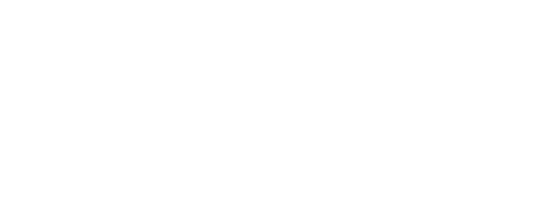 GTP® GlobalTransferPricing Business Solutions